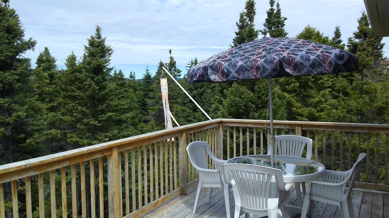 Photo of Others in Terra Nova