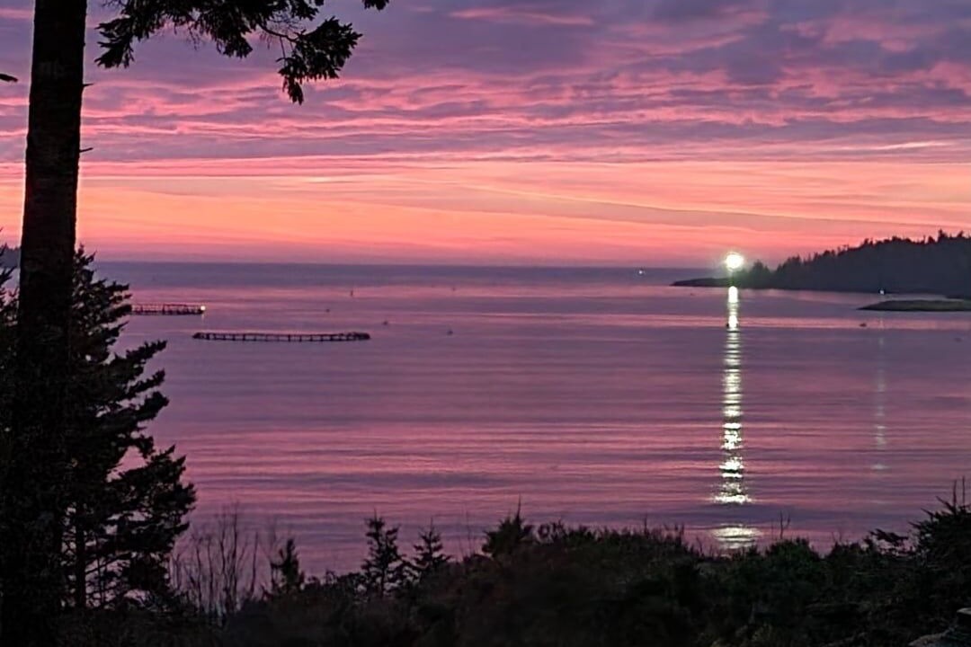 Photo of Others in Beaver Harbour