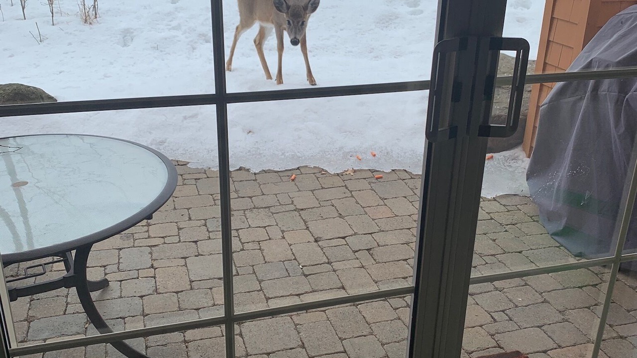 Photo of Others in Mont-Tremblant