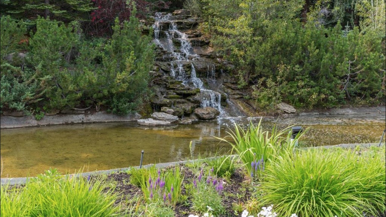 Photo of Outdoor in Coach Hill
