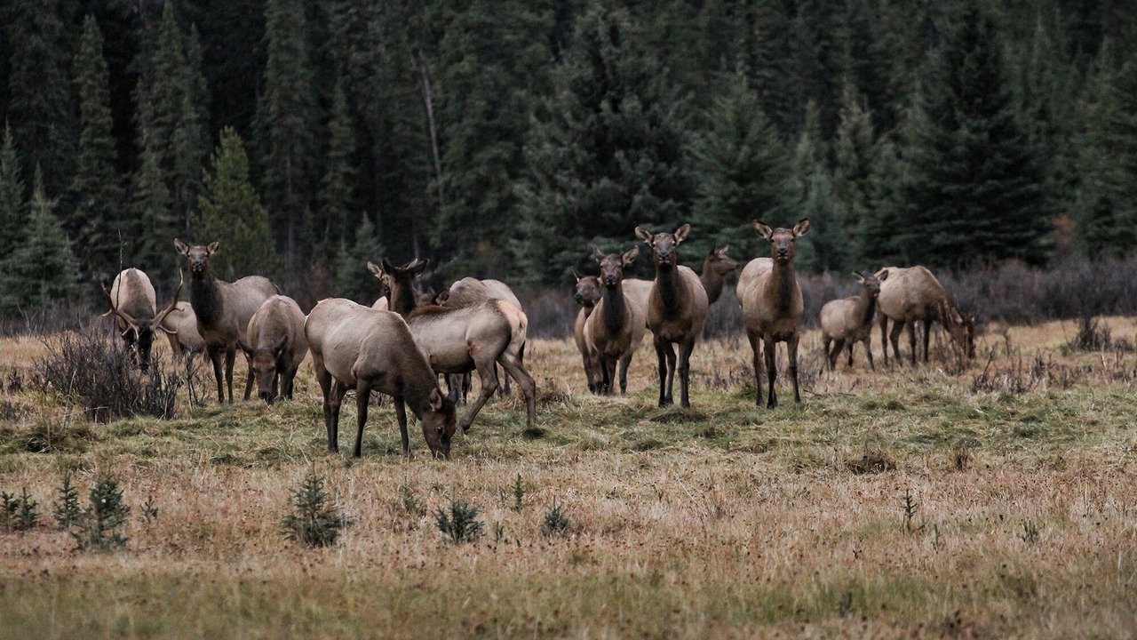 Photo of Others in Rock Lake