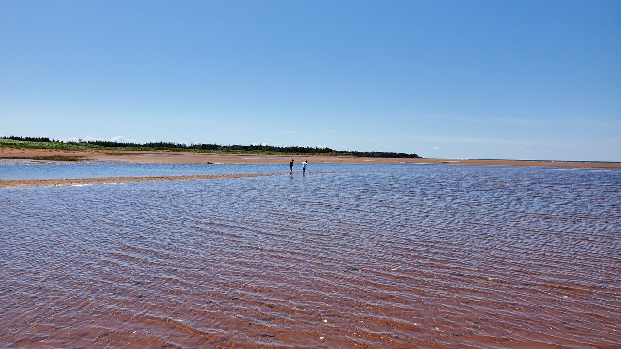 Photo of Others in Borden-Carleton