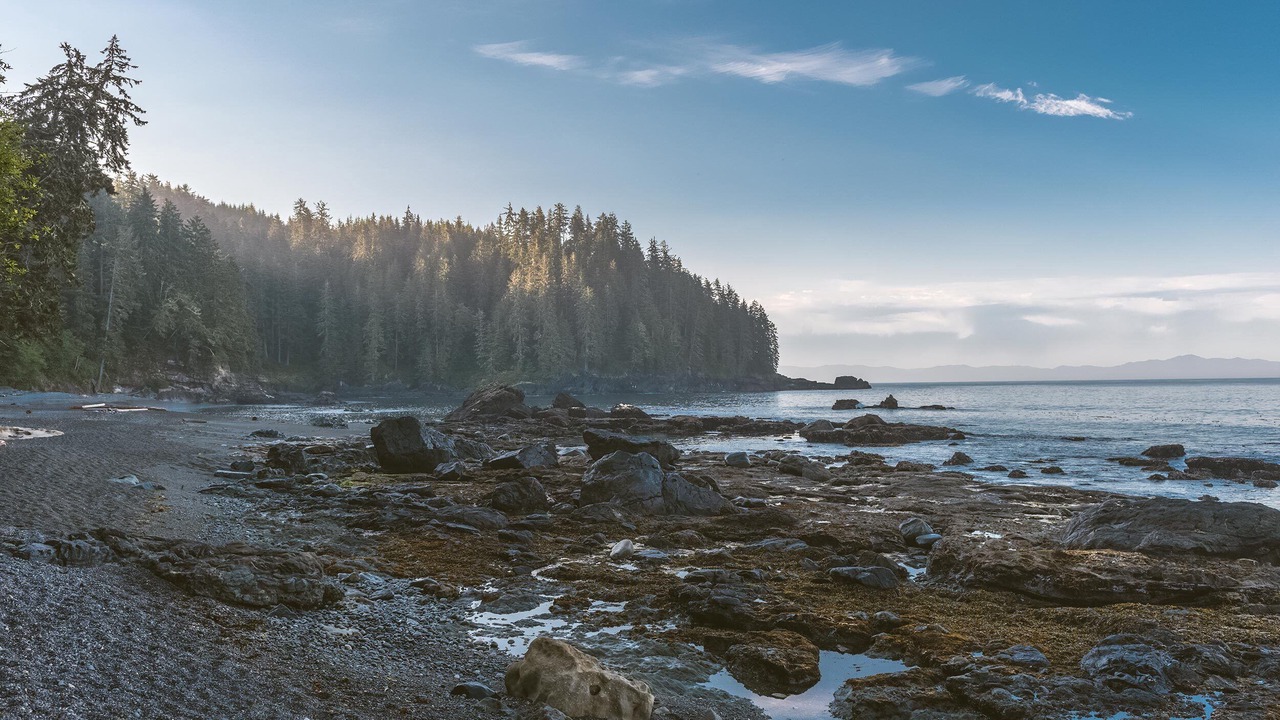 Photo of Others in Port Renfrew