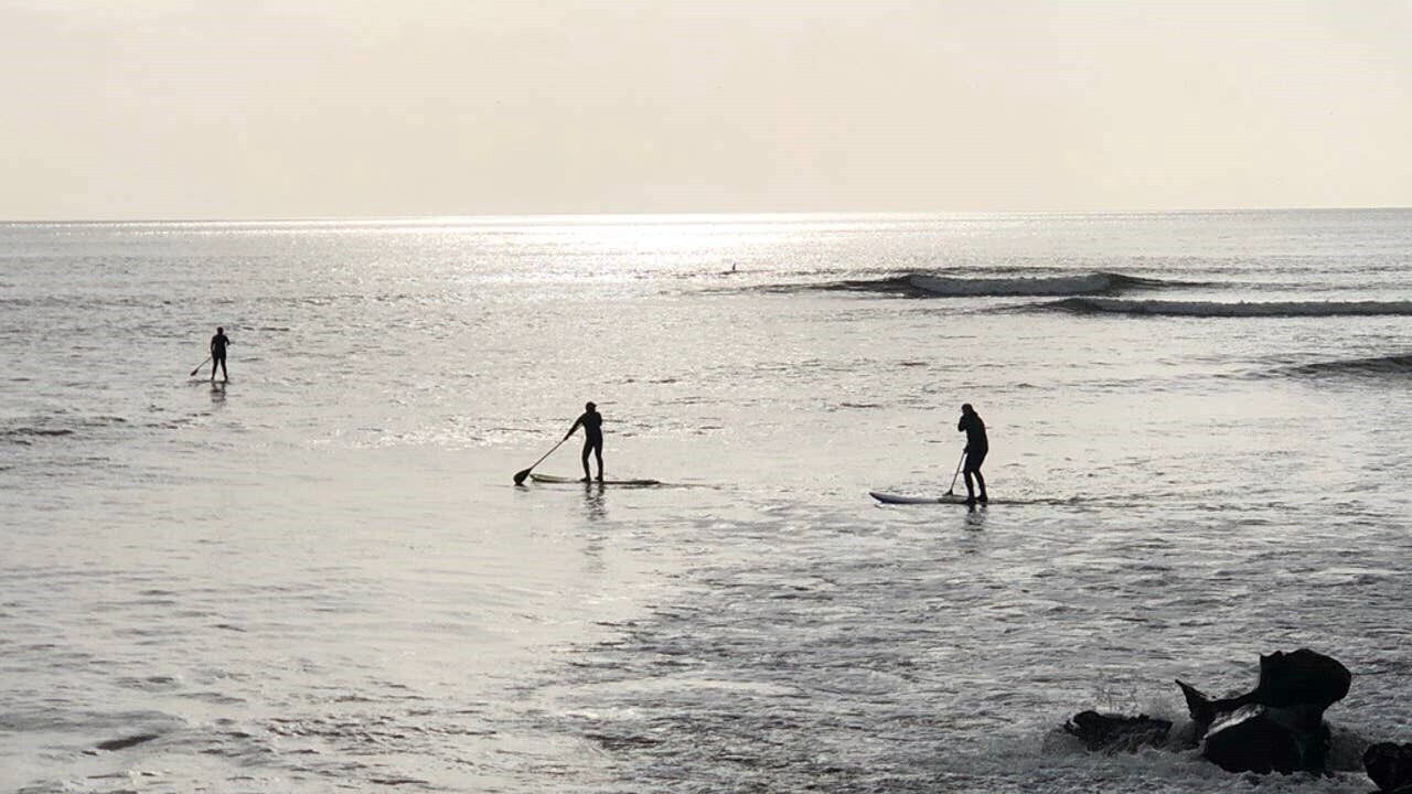 Photo of Others in Port Renfrew