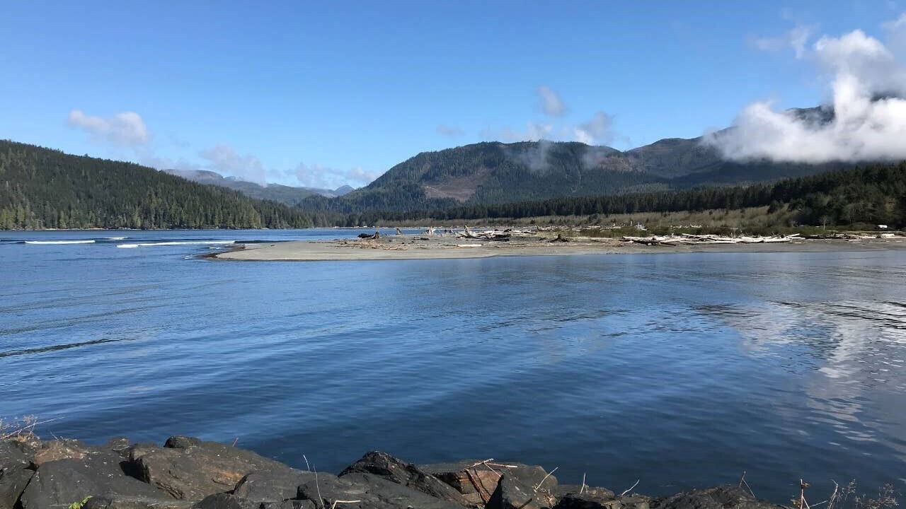 Photo of Others in Port Renfrew