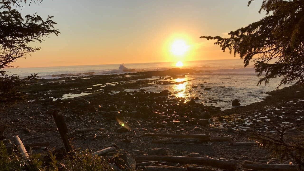 Photo of Others in Port Renfrew