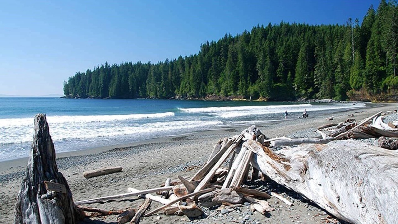 Photo of Others in Port Renfrew