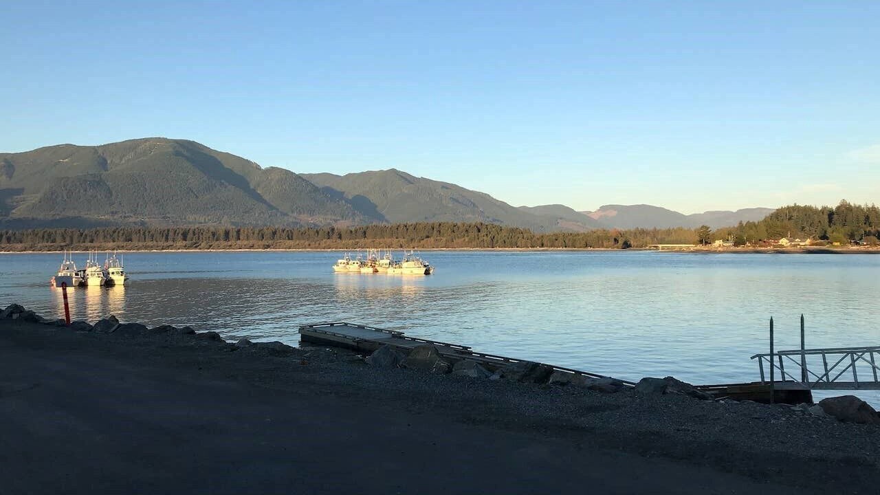 Photo of Others in Port Renfrew