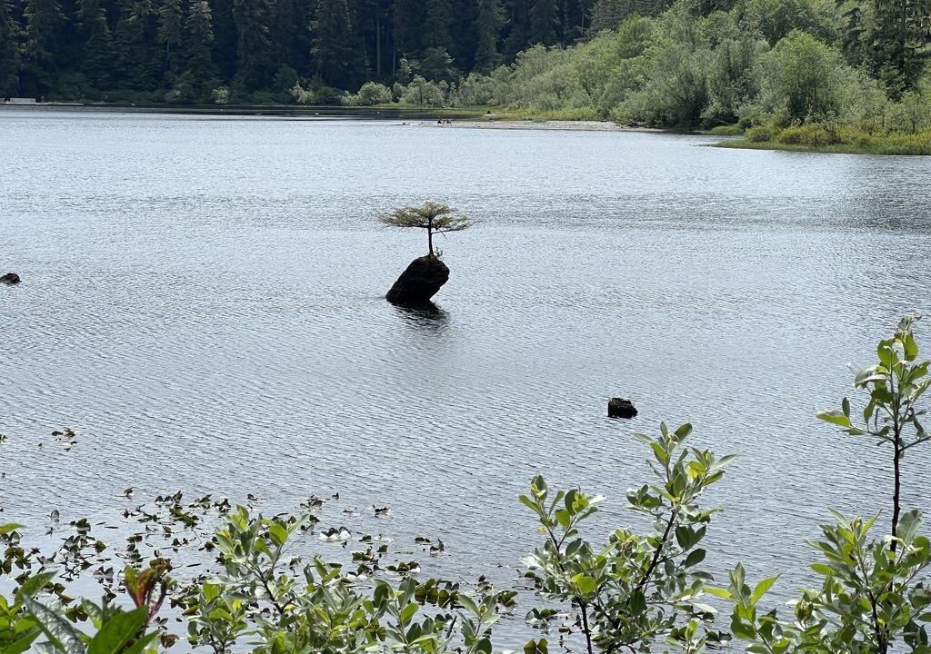 Photo of Outdoor in Port Renfrew