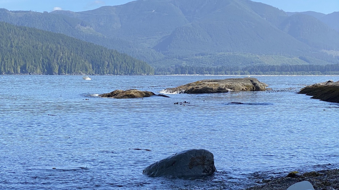 Photo of Others in Port Renfrew