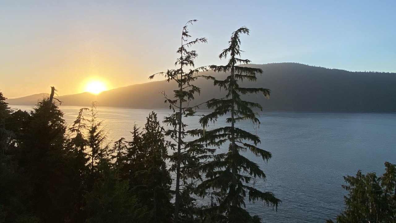 Photo of Others in Port Renfrew