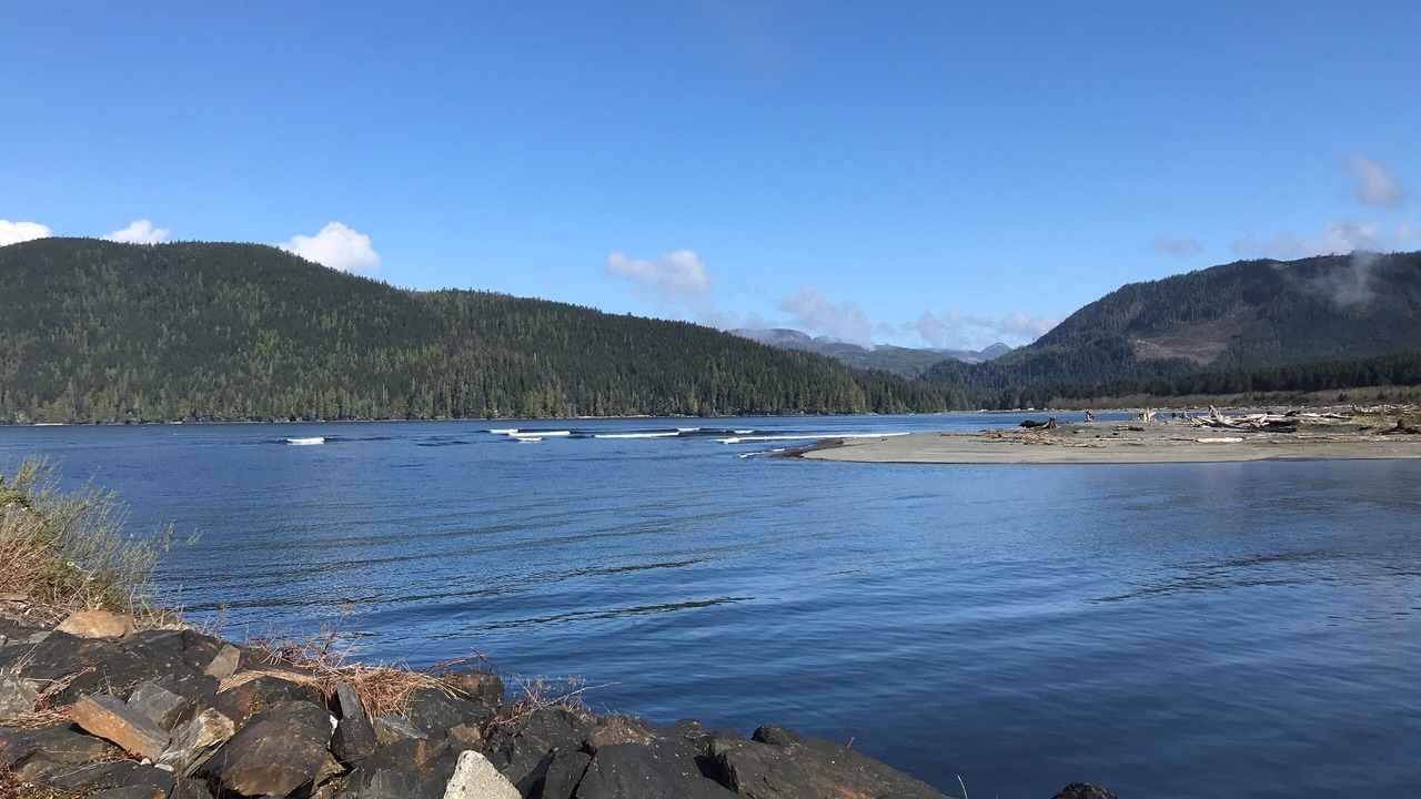 Photo of Others in Port Renfrew