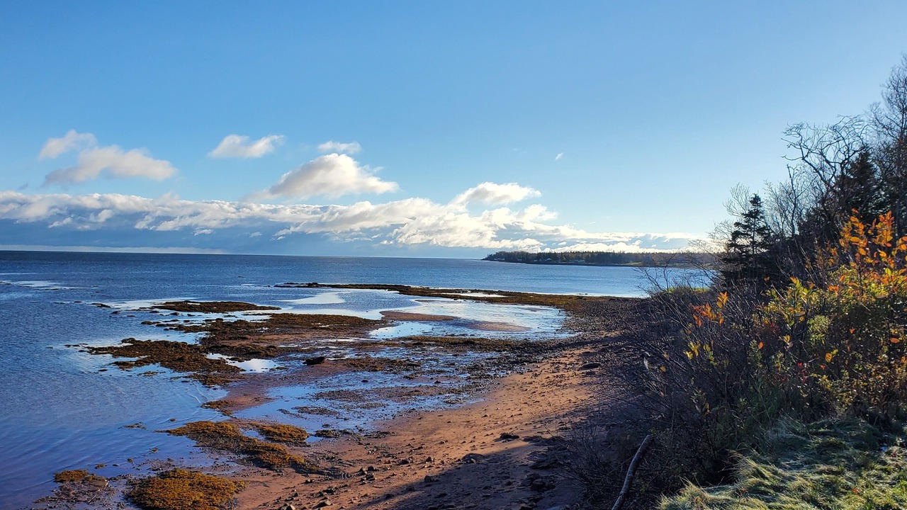 Photo of Others in Tidnish