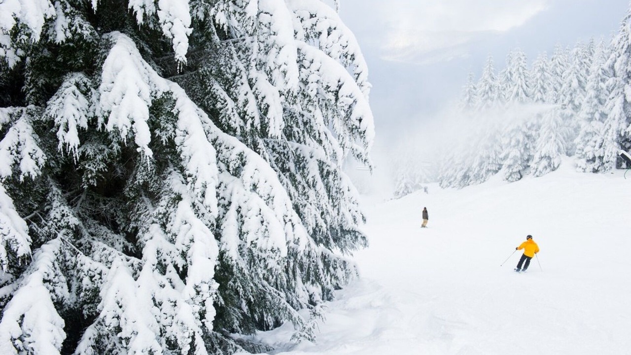 Photo of Others in Nordic Estates