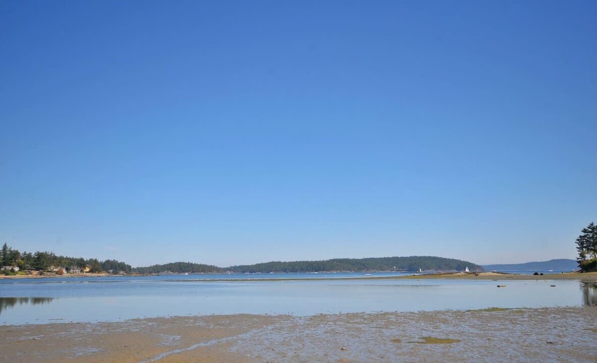 Photo of Others in Sidney