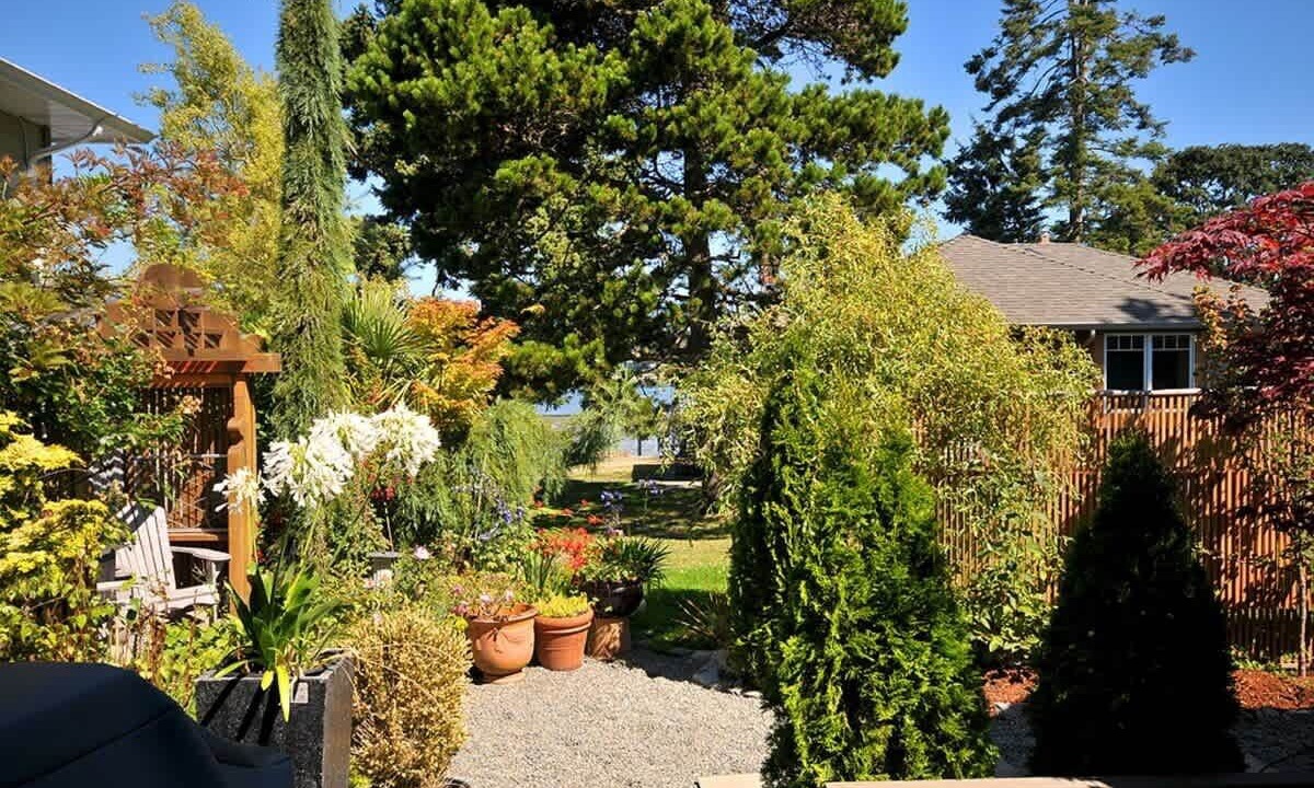 Photo of Outdoor in Sidney