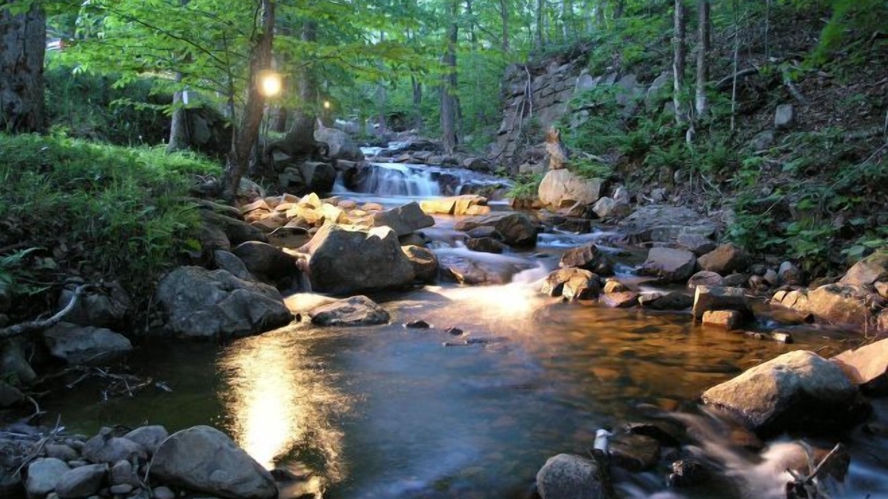 Photo of Outdoor in Mont-Tremblant