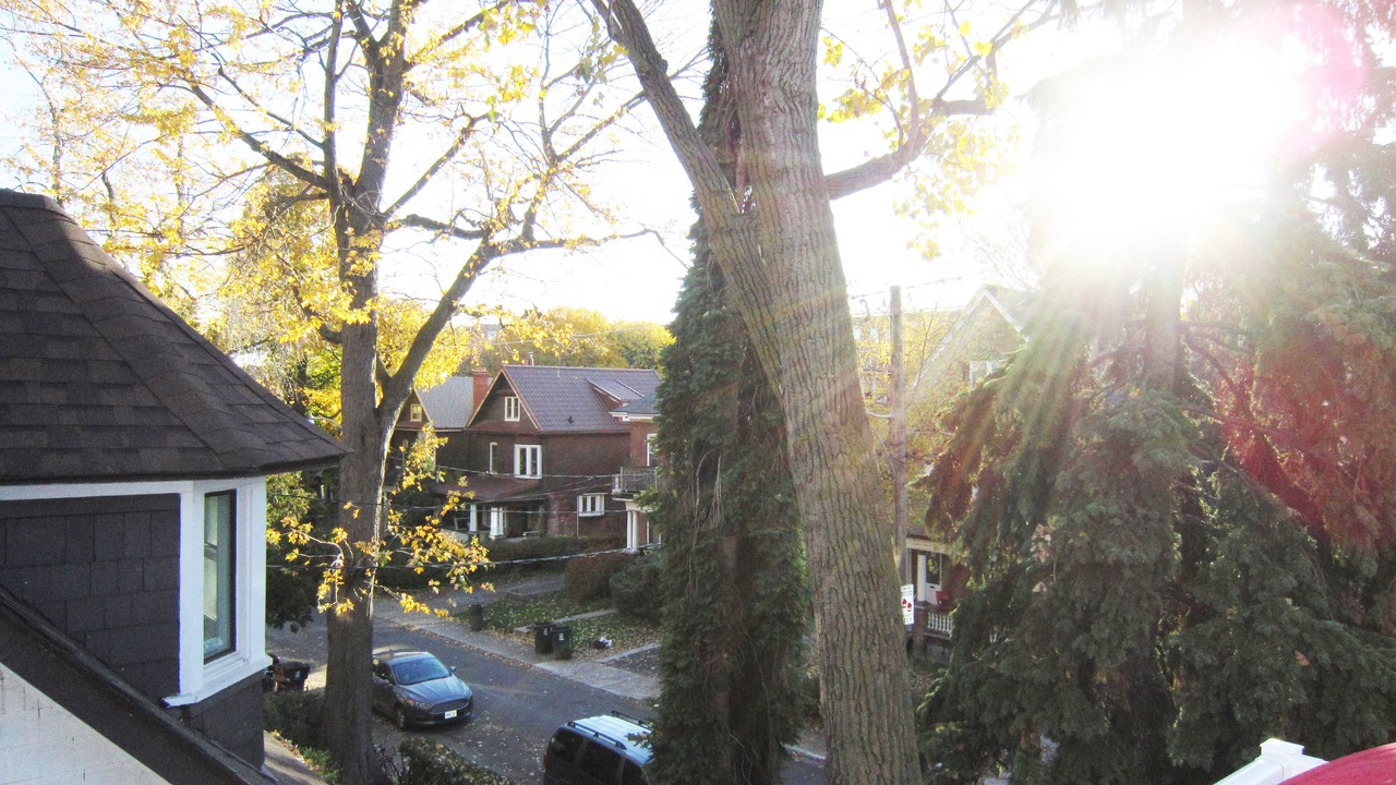 Photo of Patio Balcony in Parkdale