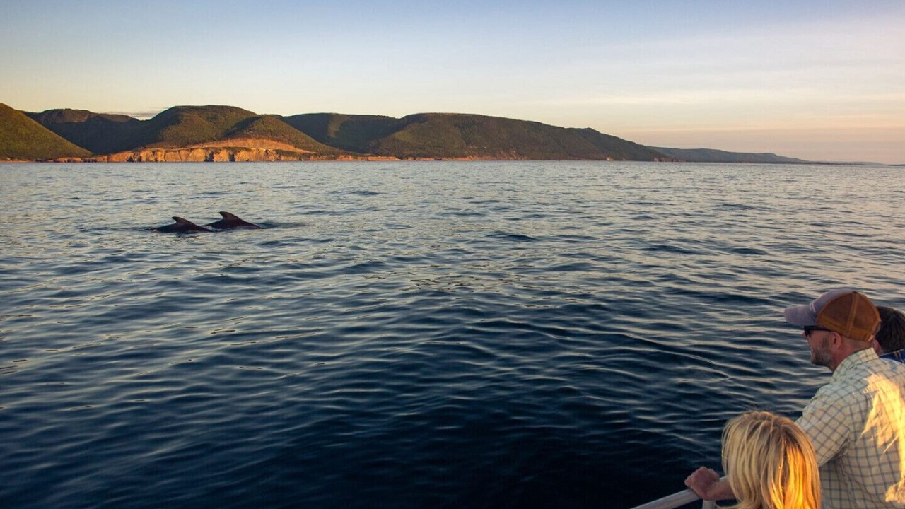 Photo of Others in Pleasant Bay