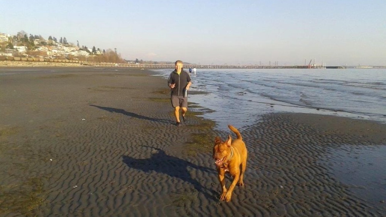 Photo of Others in White Rock