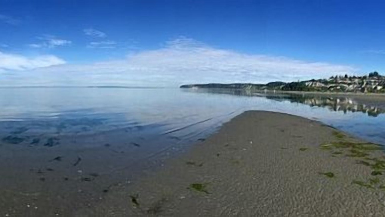 Photo of Others in White Rock