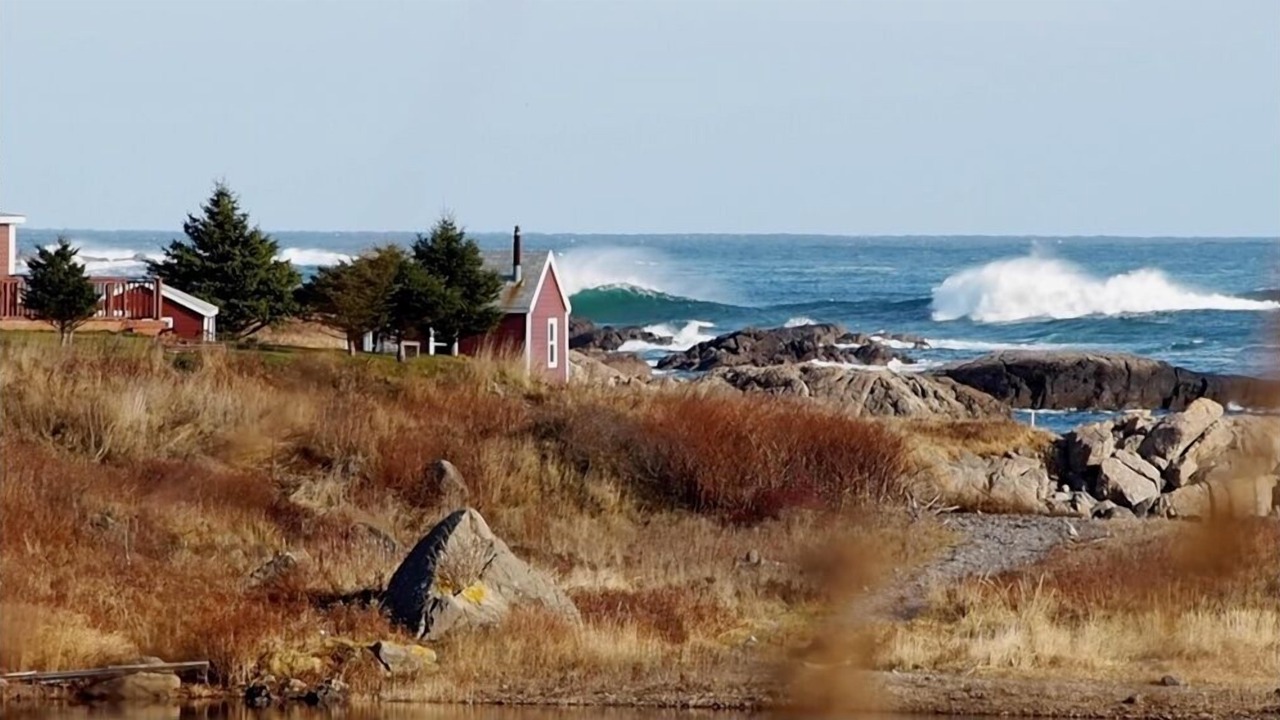 Photo of Others in Sampson Cove