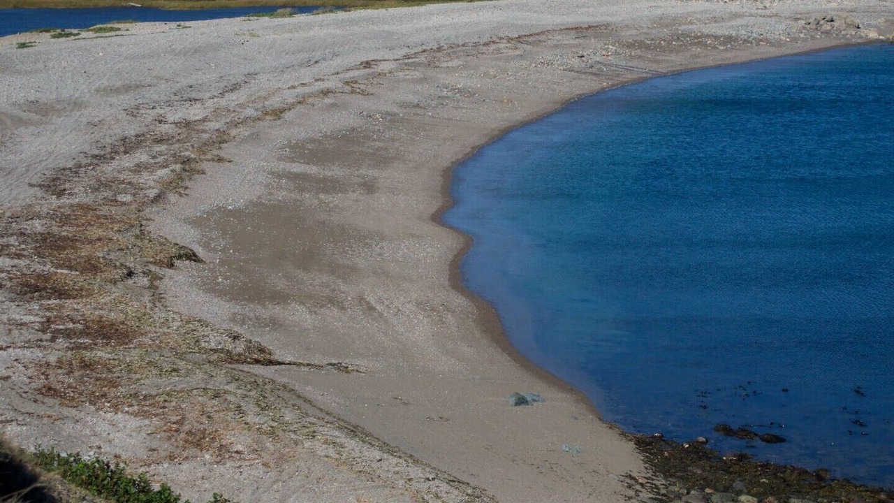 Photo of Others in Sampson Cove