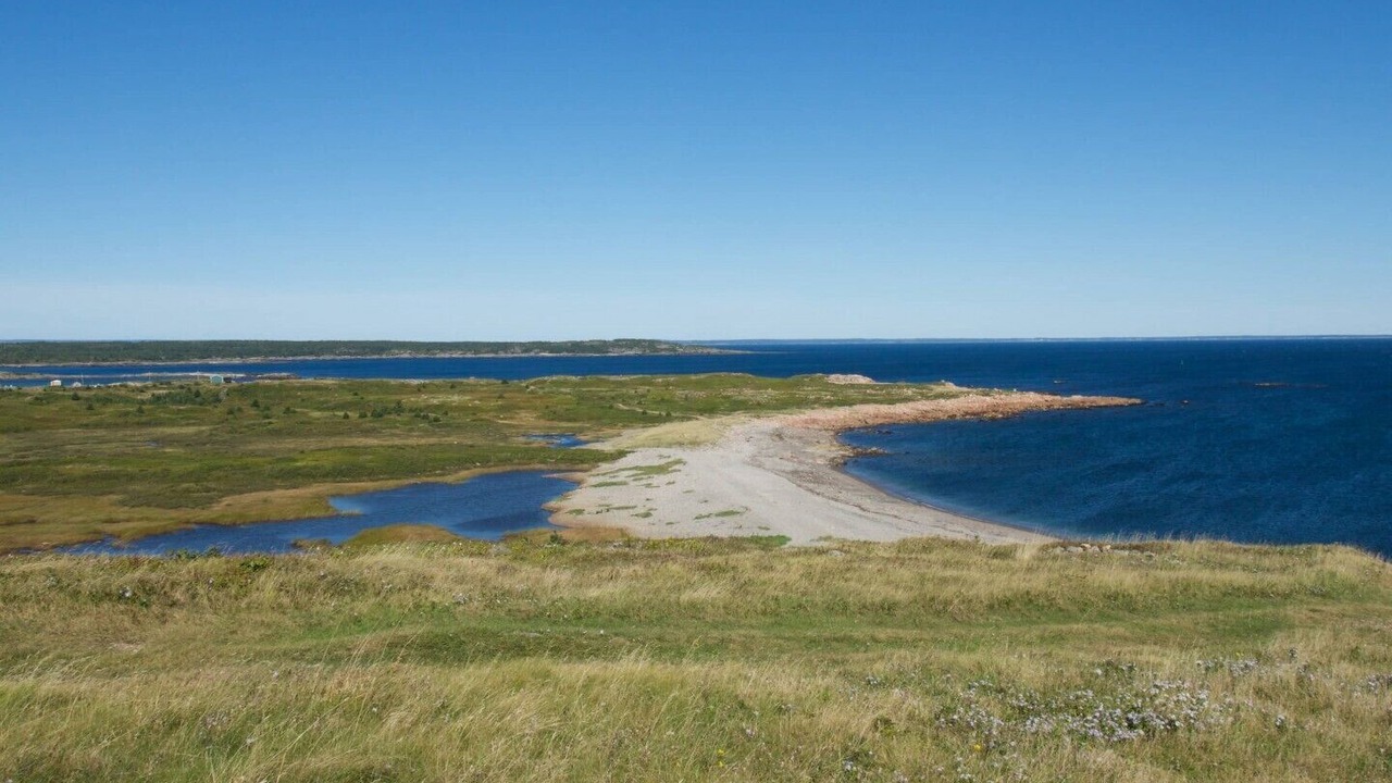 Photo of Others in Sampson Cove