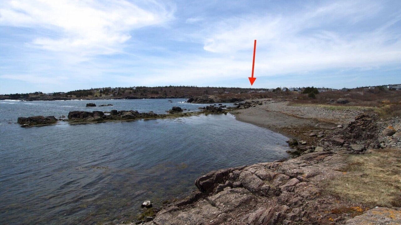 Photo of Others in Sampson Cove