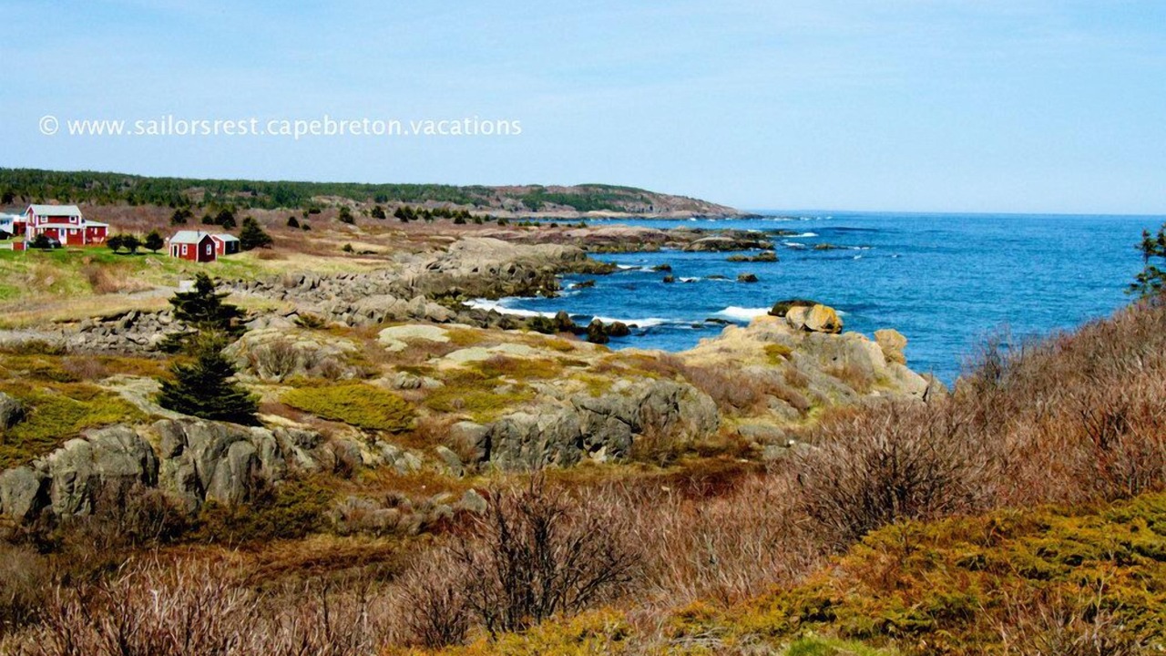 Photo of Others in Sampson Cove