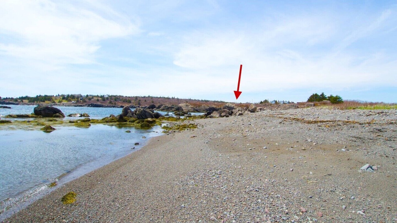 Photo of Others in Sampson Cove