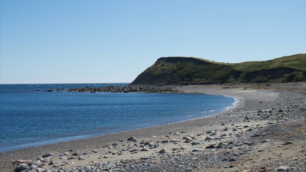 Photo of Others in Sampson Cove