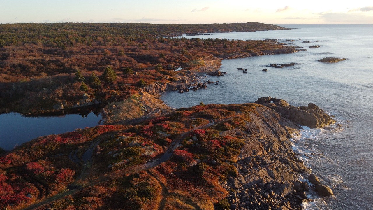 Photo of Outdoor in Sampson Cove