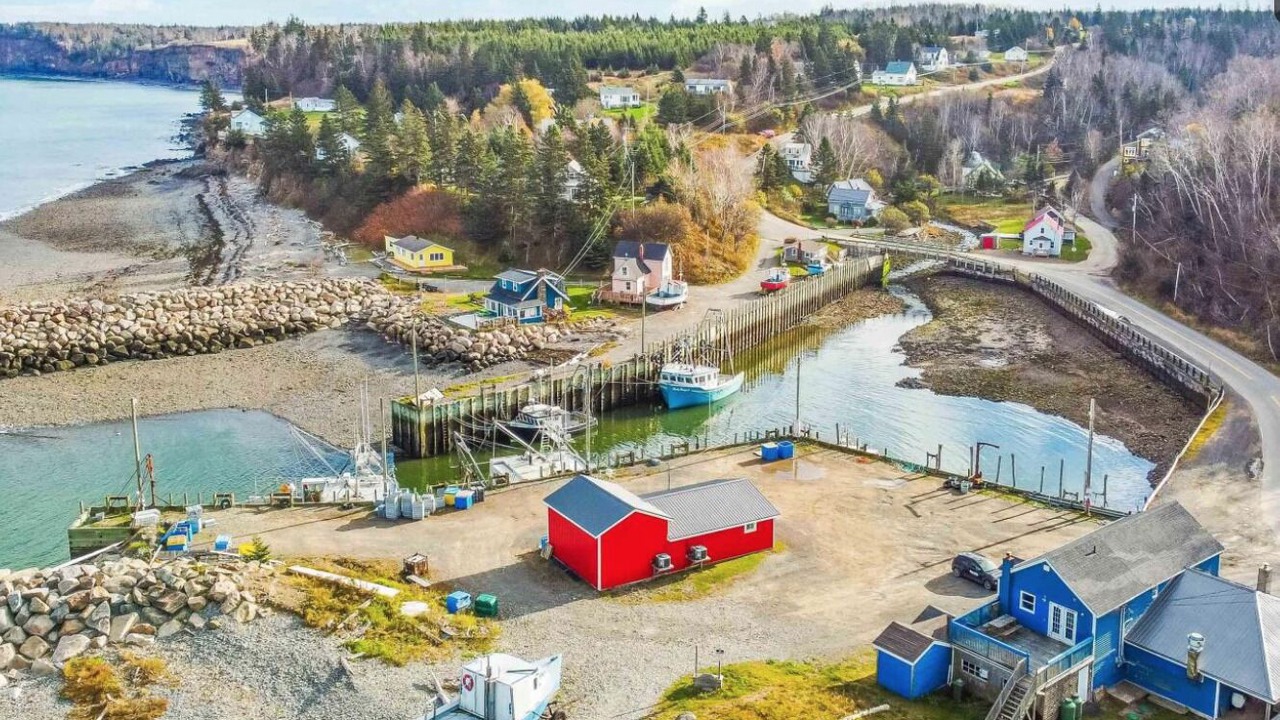 Photo of Outdoor in Harbourville