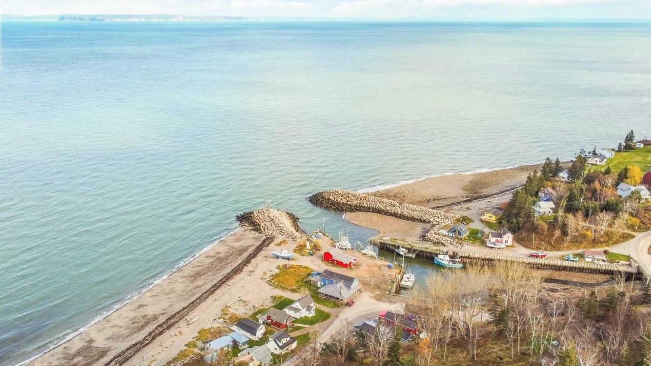 Photo of Outdoor in Harbourville