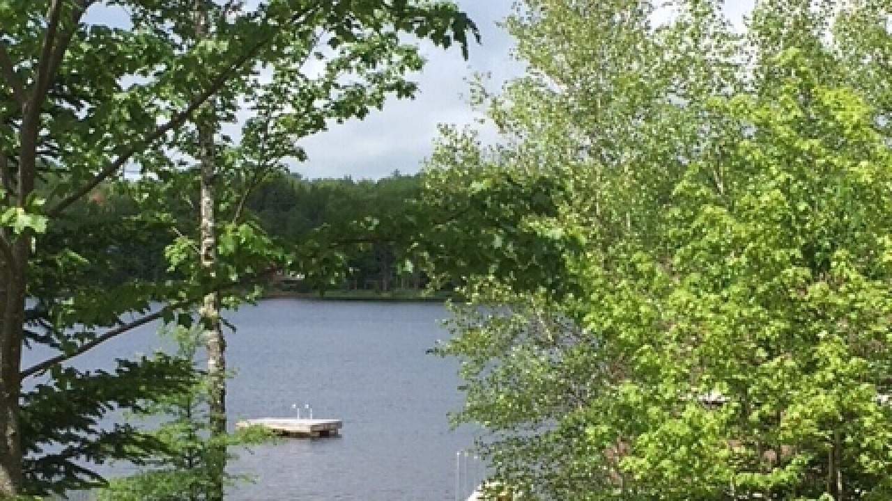 Photo of Outdoor in Amherst