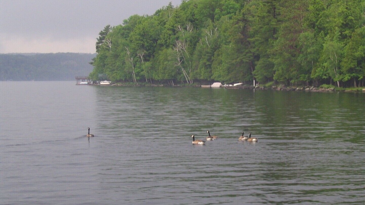 Photo of Others in Lake of Bays