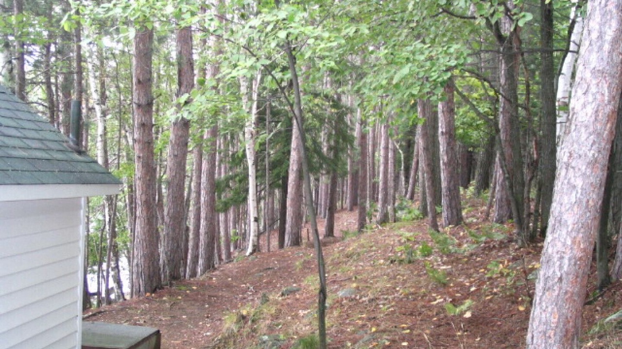 Photo of Others in Lake of Bays