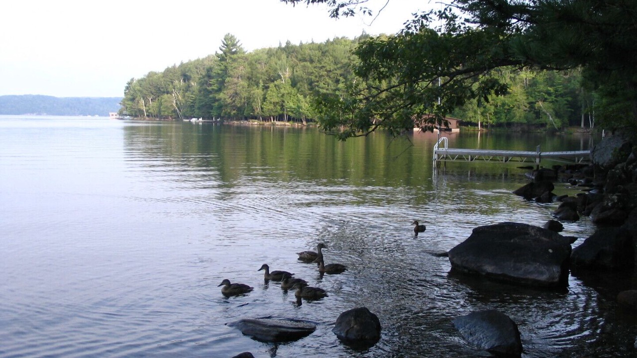 Photo of Others in Lake of Bays
