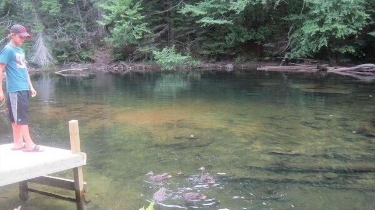 Photo of Outdoor in Algonquin Highlands