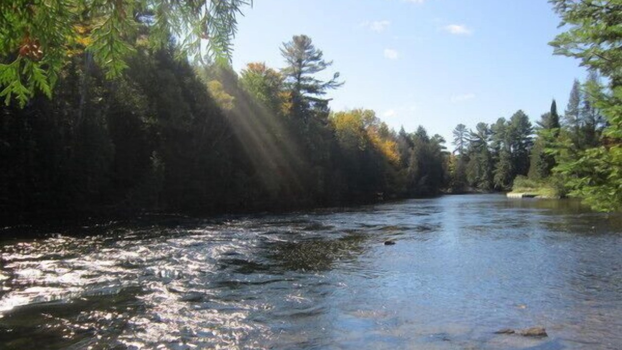 Photo of Outdoor in Algonquin Highlands
