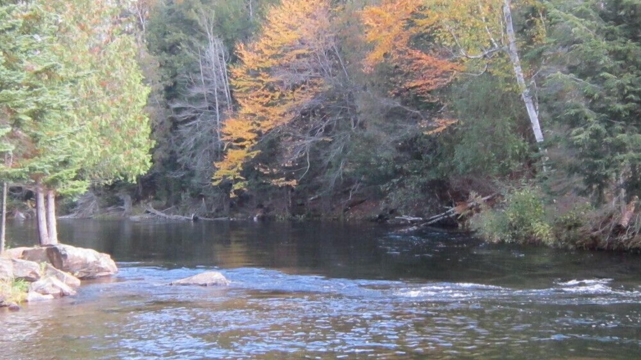 Photo of Others in Algonquin Highlands
