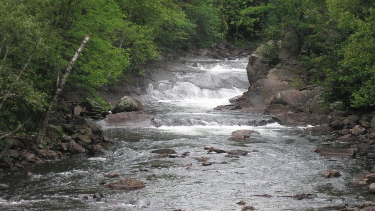 Photo of Others in Algonquin Highlands