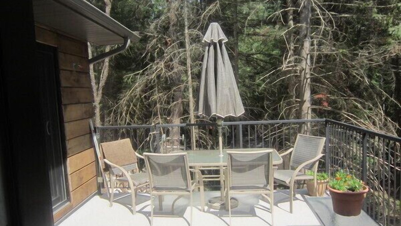 Photo of Others in Algonquin Highlands