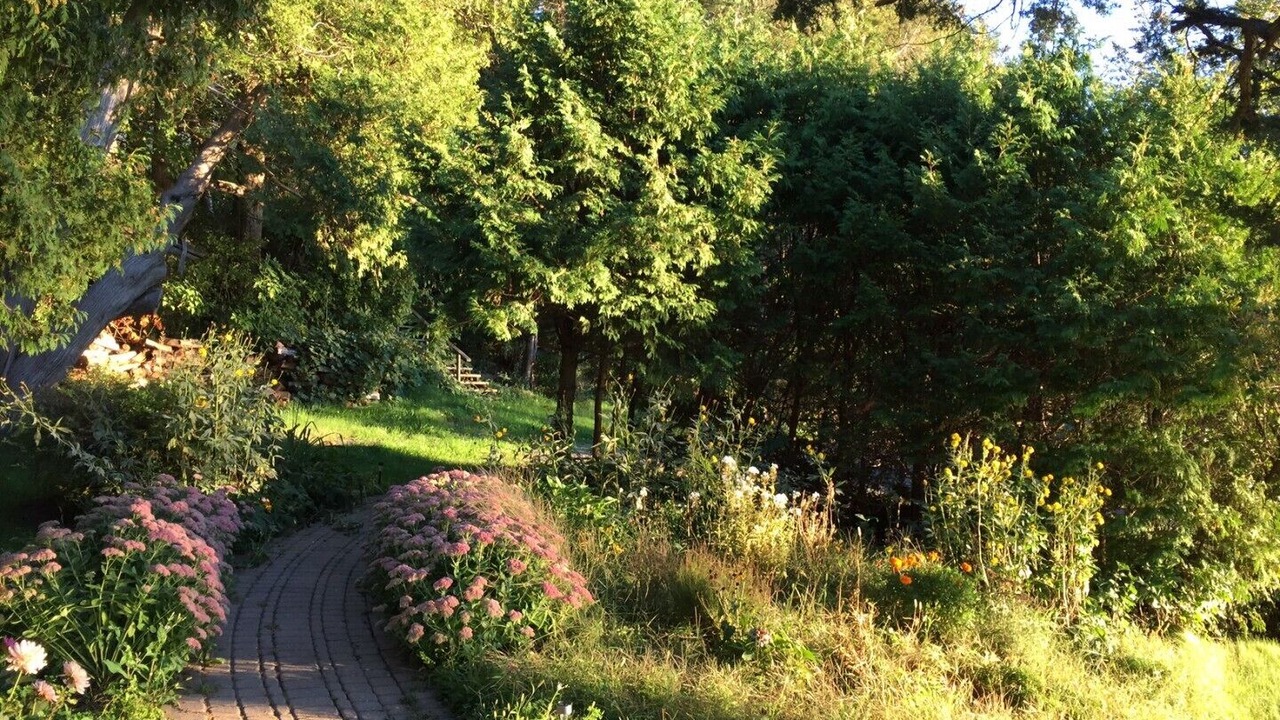 Photo of Outdoor in Greater Napanee