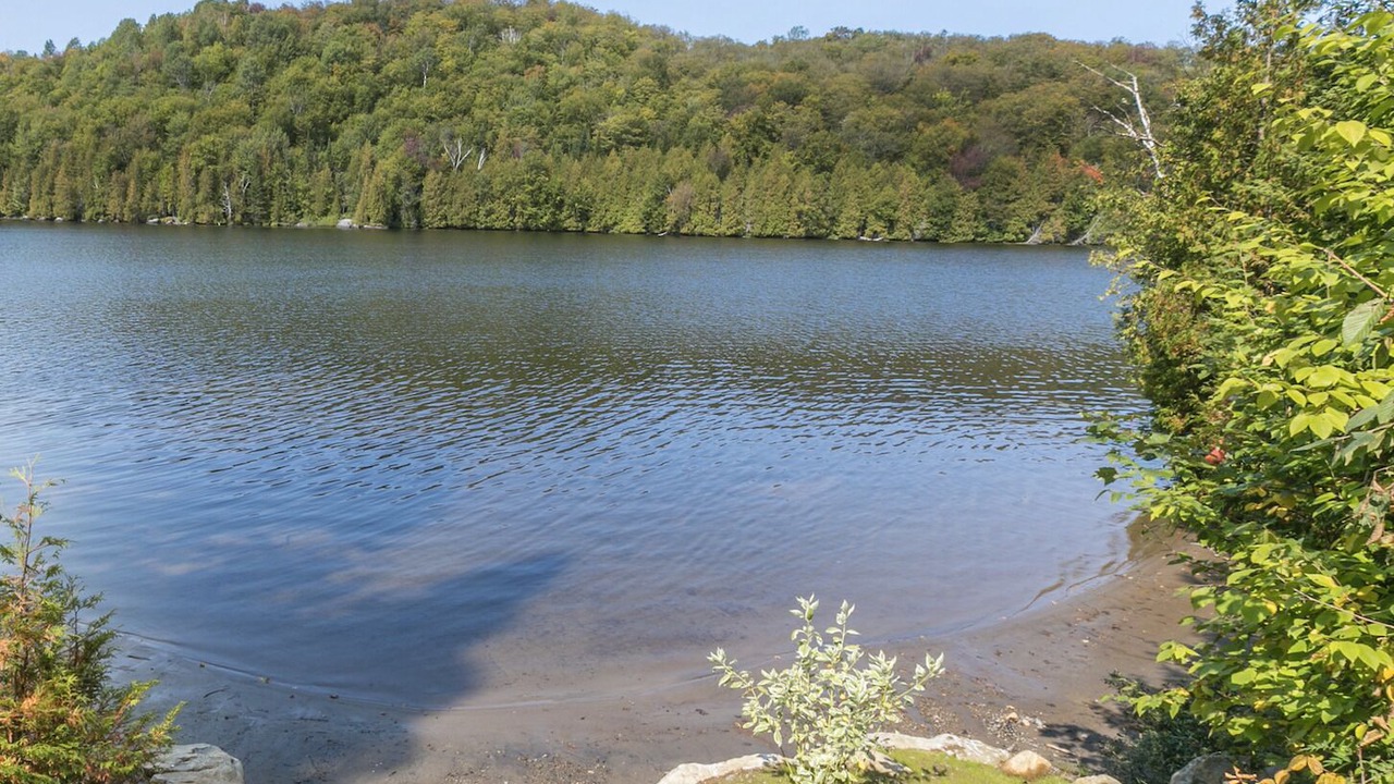 Photo of Outdoor in St-Adolphe-d'Howard
