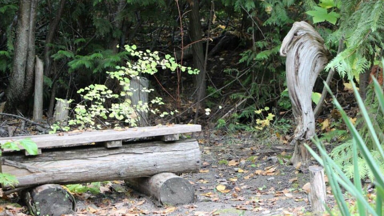 Photo of Others in Blind Bay