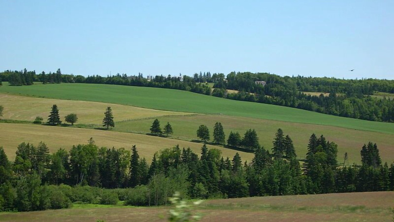 Photo of Others in Summerside