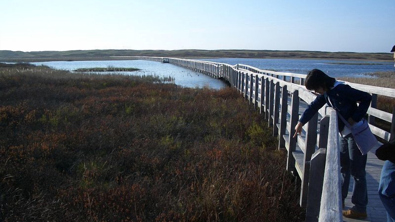 Photo of Others in Summerside