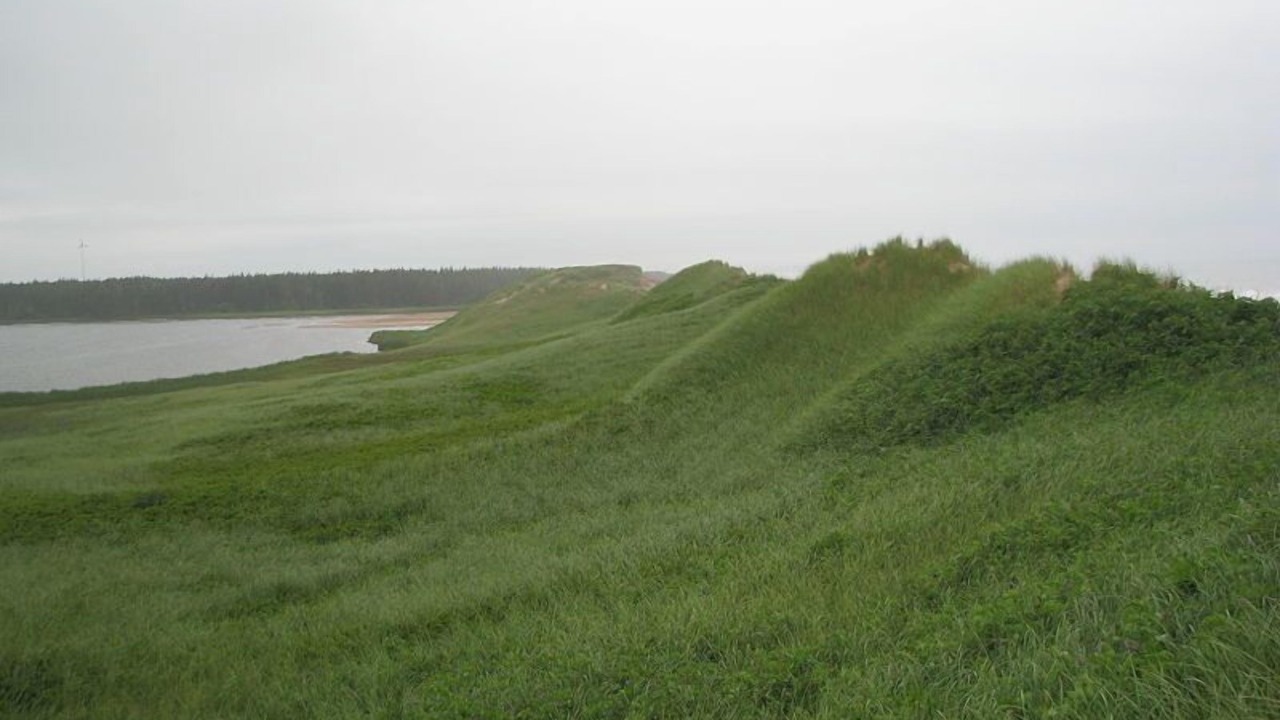 Photo of Others in Summerside